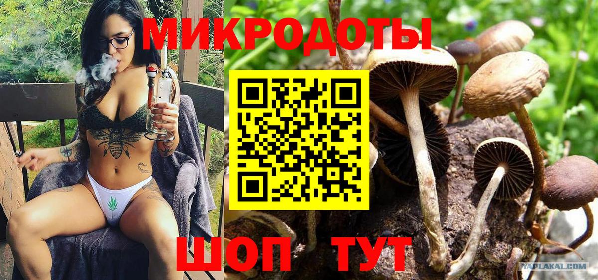 Галлюциногенные грибы Magic Shrooms Хасавюрт